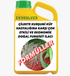 ÇİLEKTE KURŞUNİ KÜF HASTALIĞINA KARŞI ÇOK ETKİLİ VE EKONOMİK DOĞAL FUNGİSİT İLACI İMALAT FORMÜLÜ VE ÜRETİM YÖNTEMİ VE UYGULAMA DOZAJLARI