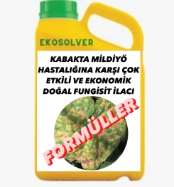 KABAKTA MİLDİYÖ HASTALIĞINA KARŞI ÇOK ETKİLİ VE EKONOMİK DOĞAL FUNGİSİT İLACI İMALAT FORMÜLÜ VE ÜRETİM YÖNTEMİ VE UYGULAMA DOZAJLARI