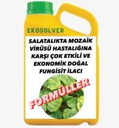 SALATALIKTA MOZAİK VİRÜSÜ HASTALIĞINA KARŞI ÇOK ETKİLİ VE EKONOMİK DOĞAL FUNGİSİT İLACI İMALAT FORMÜLÜ VE ÜRETİM YÖNTEMİ VE UYGULAMA DOZAJLARI