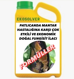 PATLICANDA MANTAR HASTALIĞINA KARŞI ÇOK ETKİLİ VE EKONOMİK DOĞAL FUNGİSİT İLACI İMALAT FORMÜLÜ VE ÜRETİM YÖNTEMİ VE UYGULAMA DOZAJLARI