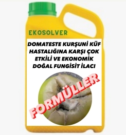 DOMATESTE KURŞUNİ KÜF HASTALIĞINA KARŞI ÇOK ETKİLİ VE EKONOMİK DOĞAL FUNGİSİT İLACI İMALAT FORMÜLÜ VE ÜRETİM YÖNTEMİ VE UYGULAMA DOZAJLARI