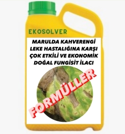 MARULDA KAHVERENGİ LEKE HASTALIĞINA KARŞI ÇOK ETKİLİ VE EKONOMİK DOĞAL FUNGİSİT İLACI İMALAT FORMÜLÜ VE ÜRETİM YÖNTEMİ VE UYGULAMA DOZAJLARI