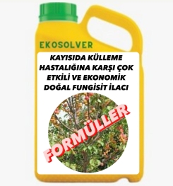 KAYISIDA KÜLLEME HASTALIĞINA KARŞI ETKİLİ VE EKONOMİK DOĞAL FUNGİSİT İLACI İMALAT FORMÜLÜ VE ÜRETİM YÖNTEMİ VE UYGULAMA DOZAJLARI