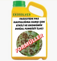 FASULYEDE PAS HASTALIĞINA KARŞI ÇOK ETKİLİ VE EKONOMİK DOĞAL FUNGİSİT İLACI İMALAT FORMÜLÜ VE ÜRETİM YÖNTEMİ VE UYGULAMA DOZAJLARI