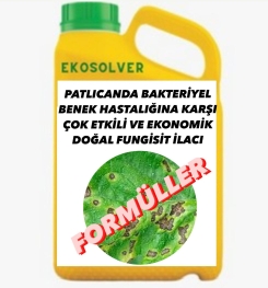 PATLICANDA BAKTERİYEL BENEK HASTALIĞINA KARŞI ÇOK ETKİLİ VE EKONOMİK DOĞAL FUNGİSİT İLACI İMALAT FORMÜLÜ VE ÜRETİM YÖNTEMİ VE UYGULAMA DOZAJLARI