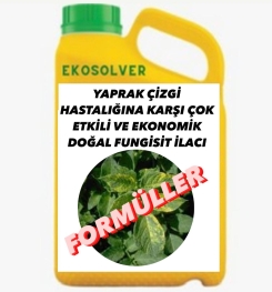 YAPRAK ÇİZGİ HASTALIĞINA KARŞI ETKİLİ VE EKONOMİK DOĞAL FUNGİSİT İLACI İMALAT FORMÜLÜ VE ÜRETİM YÖNTEMİ VE UYGULAMA DOZAJLARI