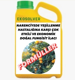 NARENCİYEDE YEŞİLLENME HASTALIĞINA KARŞI ÇOK ETKİLİ VE EKONOMİK DOĞAL FUNGİSİT İLACI İMALAT FORMÜLÜ VE ÜRETİM YÖNTEMİ VE UYGULAMA DOZAJLARI