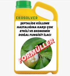 ŞEFTALİDE KÜLLEME HASTALIĞINA KARŞI ÇOK ETKİLİ VE EKONOMİK DOĞAL FUNGİSİT İLACI İMALAT FORMÜLÜ VE ÜRETİM YÖNTEMİ VE UYGULAMA DOZAJLARI