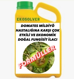 DOMATES MİLDİYÖ HASTALIĞINA KARŞI ÇOK ETKİLİ VE EKONOMİK DOĞAL FUNGİSİT İLACI İMALAT FORMÜLÜ VE ÜRETİM YÖNTEMİ VE UYGULAMA DOZAJLARI