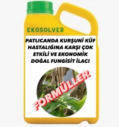 PATLICANDA KURŞUNİ KÜF HASTALIĞINA KARŞI ÇOK ETKİLİ VE EKONOMİK DOĞAL FUNGİSİT İLACI İMALAT FORMÜLÜ VE ÜRETİM YÖNTEMİ VE UYGULAMA DOZAJLARI