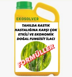 TAHILDA RASTIK HASTALIĞINA KARŞI ÇOK ETKİLİ VE EKONOMİK DOĞAL FUNGİSİT İLACI İMALAT FORMÜLÜ VE ÜRETİM YÖNTEMİ VE UYGULAMA DOZAJLARI