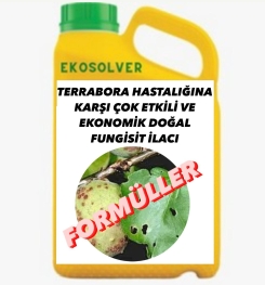 TERRABORA HASTALIĞINA KARŞI ÇOK ETKİLİ VE EKONOMİK DOĞAL FUNGİSİT İLACI İMALAT FORMÜLÜ VE ÜRETİM YÖNTEMİ VE UYGULAMA DOZAJLARI