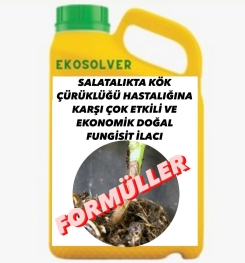 SALATALIKTA KÖK ÇÜRÜKLÜĞÜ HASTALIĞINA KARŞI ÇOK ETKİLİ VE EKONOMİK DOĞAL FUNGİSİT İLACI İMALAT FORMÜLÜ VE ÜRETİM YÖNTEMİ VE UYGULAMA DOZAJLARI