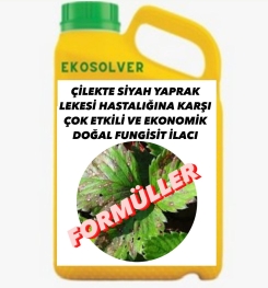 ÇİLEKTE SİYAH YAPRAK LEKESİ HASTALIĞINA KARŞI ÇOK ETKİLİ VE EKONOMİK DOĞAL FUNGİSİT İLACI İMALAT FORMÜLÜ VE ÜRETİM YÖNTEMİ VE UYGULAMA DOZAJLARI