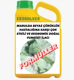 MARULDA BEYAZ ÇÜRÜKLÜK HASTALIĞINA KARŞI ÇOK ETKİLİ VE EKONOMİK DOĞAL FUNGİSİT İLACI İMALAT FORMÜLÜ VE ÜRETİM YÖNTEMİ VE UYGULAMA DOZAJLARI