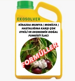 KİRAZDA MUMYA ( MONİLYA ) HASTALIĞINA KARŞI ÇOK ETKİLİ VE EKONOMİK DOĞAL FUNGİSİT İLACI İMALAT FORMÜLÜ VE ÜRETİM YÖNTEMİ VE UYGULAMA DOZAJLARI