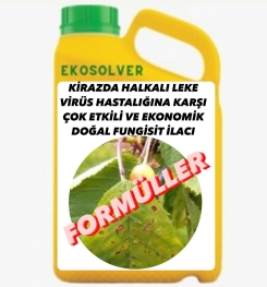 KİRAZDA HALKALI LEKE VİRÜS HASTALIĞINA KARŞI ÇOK ETKİLİ VE EKONOMİK DOĞAL FUNGİSİT İLACI İMALAT FORMÜLÜ VE ÜRETİM YÖNTEMİ VE UYGULAMA DOZAJLARI