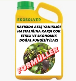 KAYISIDA ATEŞ YANIKLIĞI HASTALIĞINA KARŞI ÇOK ETKİLİ VE EKONOMİK DOĞAL FUNGİSİT İLACI İMALAT FORMÜLÜ VE ÜRETİM YÖNTEMİ VE UYGULAMA DOZAJLARI