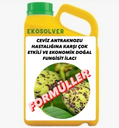 CEVİZ ANTRAKNOZU HASTALIĞINA KARŞI ÇOK ETKİLİ VE EKONOMİK DOĞAL FUNGİSİT İLACI İMALAT FORMÜLÜ VE ÜRETİM YÖNTEMİ VE UYGULAMA DOZAJLARI