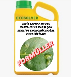 CEVİZ YAPRAK UYUZU HASTALIĞINA KARŞI ÇOK ETKİLİ VE EKONOMİK DOĞAL FUNGİSİT İLACI İMALAT FORMÜLÜ VE ÜRETİM YÖNTEMİ VE UYGULAMA DOZAJLARI