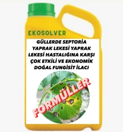 GÜLLERDE SEPTORİA YAPRAK LEKESİ YAPRAK LEKESİ HASTALIĞINA KARŞI ÇOK ETKİLİ VE EKONOMİK DOĞAL FUNGİSİT İLACI İMALAT FORMÜLÜ VE ÜRETİM YÖNTEMİ VE UYGULAMA DOZAJLARI