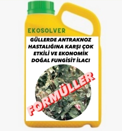 GÜLLERDE ANTRAKNOZ HASTALIĞINA KARŞI ÇOK ETKİLİ VE EKONOMİK DOĞAL FUNGİSİT İLACI İMALAT FORMÜLÜ VE ÜRETİM YÖNTEMİ VE UYGULAMA DOZAJLARI