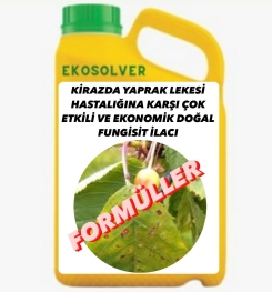 KİRAZDA YAPRAK LEKESİ HASTALIĞINA KARŞI ÇOK ETKİLİ VE EKONOMİK DOĞAL FUNGİSİT İLACI İMALAT FORMÜLÜ VE ÜRETİM YÖNTEMİ VE UYGULAMA DOZAJLARI