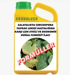 SALATALIKTA CERCOSPORA YAPRAK LEKESİ HASTALIĞINA KARŞI ÇOK ETKİLİ VE EKONOMİK DOĞAL FUNGİSİT İLACI İMALAT FORMÜLÜ VE ÜRETİM YÖNTEMİ VE UYGULAMA DOZAJLARI