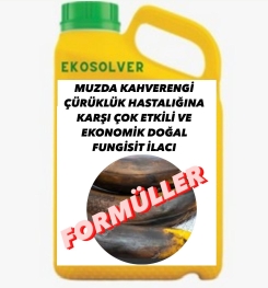 MUZDA KAHVERENGİ ÇÜRÜKLÜK HASTALIĞINA KARŞI ÇOK ETKİLİ VE EKONOMİK DOĞAL FUNGİSİT İLACI İMALAT FORMÜLÜ VE ÜRETİM YÖNTEMİ VE UYGULAMA DOZAJLARI