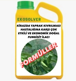 KİRAZDA YAPRAK KIVRILMASI HASTALIĞINA KARŞI ÇOK ETKİLİ VE EKONOMİK DOĞAL FUNGİSİT İLACI İMALAT FORMÜLÜ VE ÜRETİM YÖNTEMİ VE UYGULAMA DOZAJLARI