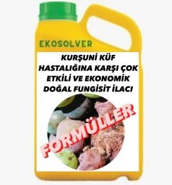 KURŞUNİ KÜF HASTALIĞINA KARŞI ÇOK ETKİLİ VE EKONOMİK DOĞAL FUNGİSİT İLACI İMALAT FORMÜLÜ VE ÜRETİM YÖNTEMİ VE UYGULAMA DOZAJLARI