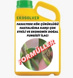 FASULYEDE KÖK ÇÜRÜKLÜĞÜ HASTALIĞINA KARŞI ÇOK ETKİLİ VE EKONOMİK DOĞAL FUNGİSİT İLACI İMALAT FORMÜLÜ VE ÜRETİM YÖNTEMİ VE UYGULAMA DOZAJLARI