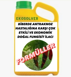 BİBERDE ANTRAKNOZ HASTALIĞINA KARŞI ÇOK ETKİLİ VE EKONOMİK DOĞAL FUNGİSİT İLACI İMALAT FORMÜLÜ VE ÜRETİM YÖNTEMİ VE UYGULAMA DOZAJLARI