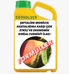 ŞEFTALİDE MONİLYA HASTALIĞINA KARŞI ÇOK ETKİLİ VE EKONOMİK DOĞAL FUNGİSİT İLACI İMALAT FORMÜLÜ VE ÜRETİM YÖNTEMİ VE UYGULAMA DOZAJLARI