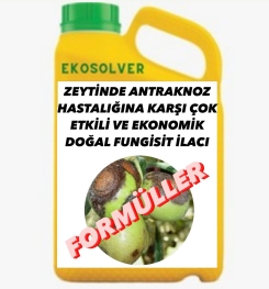 ZEYTİNDE VERTİSİLYUM SOLGUNLUĞU HASTALIĞINA KARŞI ÇOK ETKİLİ VE EKONOMİK DOĞAL FUNGİSİT İLACI İMALAT FORMÜLÜ VE ÜRETİM YÖNTEMİ VE UYGULAMA DOZAJLARI