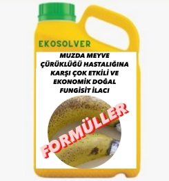 MUZDA MEYVE ÇÜRÜKLÜĞÜ HASTALIĞINA KARŞI ÇOK ETKİLİ VE EKONOMİK DOĞAL FUNGİSİT İLACI İMALAT FORMÜLÜ VE ÜRETİM YÖNTEMİ VE UYGULAMA DOZAJLARI