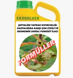 ŞEFTALİDE YAPRAK KIVIRCIKLIĞI HASTALIĞINA KARŞI ÇOK ETKİLİ VE EKONOMİK DOĞAL FUNGİSİT İLACI İMALAT FORMÜLÜ VE ÜRETİM YÖNTEMİ VE UYGULAMA DOZAJLARI