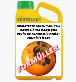 DOMATESTE ERKEN YANIKLIK HASTALIĞINA KARŞI ÇOK ETKİLİ VE EKONOMİK DOĞAL FUNGİSİT İLACI İMALAT FORMÜLÜ VE ÜRETİM YÖNTEMİ VE UYGULAMA DOZAJLARI