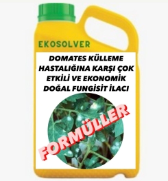 DOMATES KÜLLEME HASTALIĞINA KARŞI ÇOK ETKİLİ VE EKONOMİK DOĞAL FUNGİSİT İLACI İMALAT FORMÜLÜ VE ÜRETİM YÖNTEMİ VE UYGULAMA DOZAJLARI