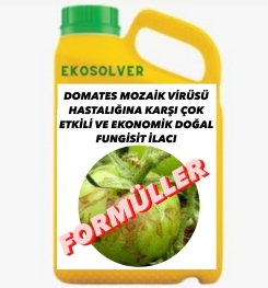 DOMATES MOZAİK VİRÜSÜ HASTALIĞINA KARŞI ÇOK ETKİLİ VE EKONOMİK DOĞAL FUNGİSİT İLACI İMALAT FORMÜLÜ VE ÜRETİM YÖNTEMİ VE UYGULAMA DOZAJLARI