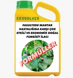 FASULYEDE MANTAR HASTALIĞINA KARŞI ÇOK ETKİLİ VE EKONOMİK DOĞAL FUNGİSİT İLACI İMALAT FORMÜLÜ VE ÜRETİM YÖNTEMİ VE UYGULAMA DOZAJLARI