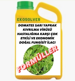 DOMATES SARI YAPRAK KIVRILMA VİRÜSÜ HASTALIĞINA KARŞI ÇOK ETKİLİ VE EKONOMİK DOĞAL FUNGİSİT İLACI İMALAT FORMÜLÜ VE ÜRETİM YÖNTEMİ VE UYGULAMA DOZAJLARI