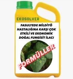 FASULYEDE MİLDİYÖ HASTALIĞINA KARŞI ÇOK ETKİLİ VE EKONOMİK DOĞAL FUNGİSİT İLACI İMALAT FORMÜLÜ VE ÜRETİM YÖNTEMİ VE UYGULAMA DOZAJLARI