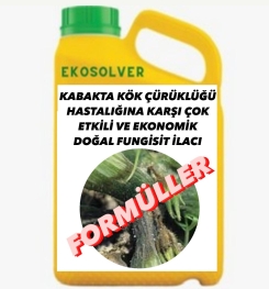 KABAKTA KÖK ÇÜRÜKLÜĞÜ HASTALIĞINA KARŞI ÇOK ETKİLİ VE EKONOMİK DOĞAL FUNGİSİT İLACI İMALAT FORMÜLÜ VE ÜRETİM YÖNTEMİ VE UYGULAMA DOZAJLARI