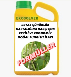 BEYAZ ÇÜRÜKLÜK HASTALIĞINA KARŞI ÇOK ETKİLİ VE EKONOMİK DOĞAL FUNGİSİT İLACI İMALAT FORMÜLÜ VE ÜRETİM YÖNTEMİ VE UYGULAMA DOZAJLARI