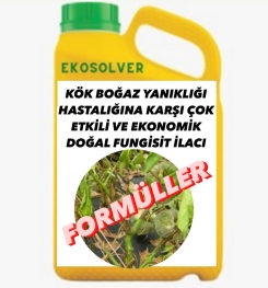 KÖK BOĞAZ YANIKLIĞI HASTALIĞINA KARŞI ÇOK ETKİLİ VE EKONOMİK DOĞAL FUNGİSİT İLACI İMALAT FORMÜLÜ VE ÜRETİM YÖNTEMİ VE UYGULAMA DOZAJLARI