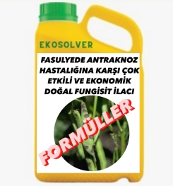 FASULYEDE ANTRAKNOZ HASTALIĞINA KARŞI ÇOK ETKİLİ VE EKONOMİK DOĞAL FUNGİSİT İLACI İMALAT FORMÜLÜ VE ÜRETİM YÖNTEMİ VE UYGULAMA DOZAJLARI