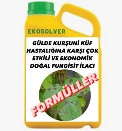 GÜLDE KURŞUNİ KÜF HASTALIĞINA KARŞI ÇOK ETKİLİ VE EKONOMİK DOĞAL FUNGİSİT İLACI İMALAT FORMÜLÜ VE ÜRETİM YÖNTEMİ VE UYGULAMA DOZAJLARI