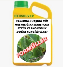 KAYISIDA KURŞUNİ KÜF HASTALIĞINA KARŞI ÇOK ETKİLİ VE EKONOMİK DOĞAL FUNGİSİT İLACI İMALAT FORMÜLÜ VE ÜRETİM YÖNTEMİ VE UYGULAMA DOZAJLARI