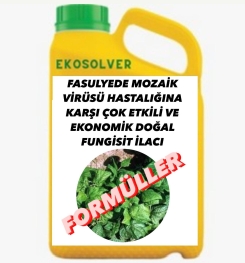 FASULYEDE MOZAİK VİRÜSÜ HASTALIĞINA KARŞI ÇOK ETKİLİ VE EKONOMİK DOĞAL FUNGİSİT İLACI İMALAT FORMÜLÜ VE ÜRETİM YÖNTEMİ VE UYGULAMA DOZAJLARI